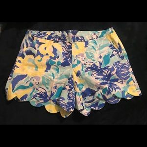 Lilly Shorts Size 8